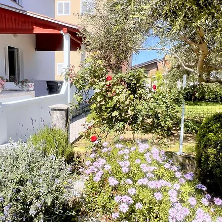 Apartmán House Draga *